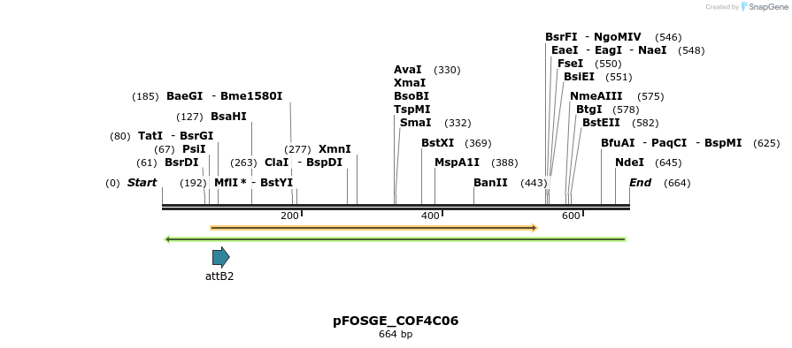 131505_map