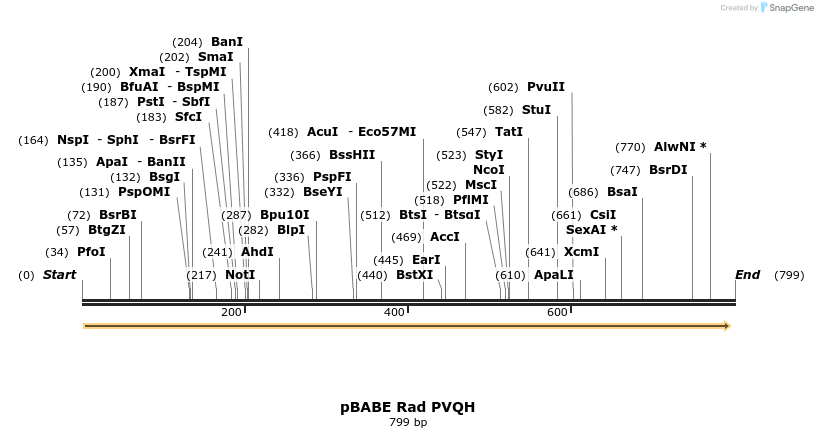 131507_map