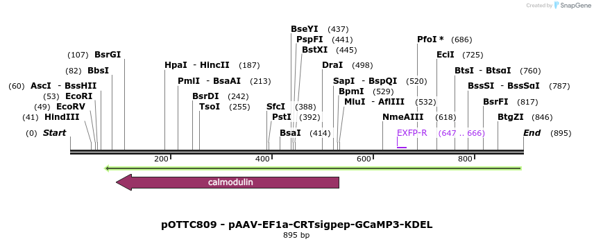 131509_map