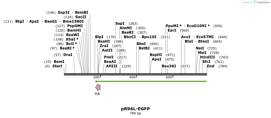 131511_map