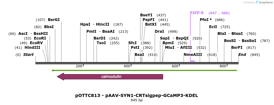 131513_map
