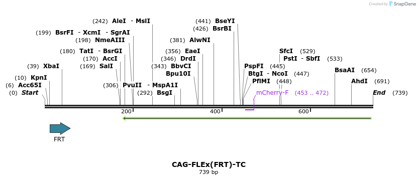 131519_map