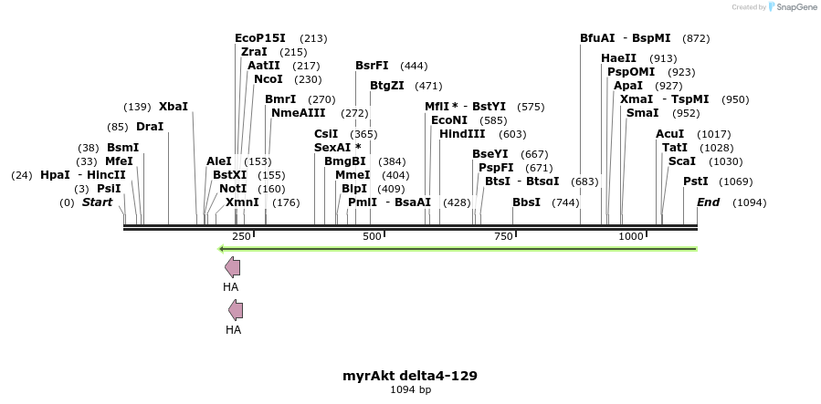 131520_map