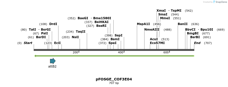 131527_map