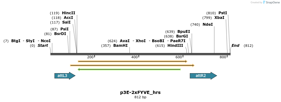 131528_map