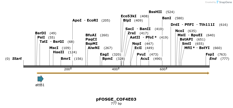 131529_map