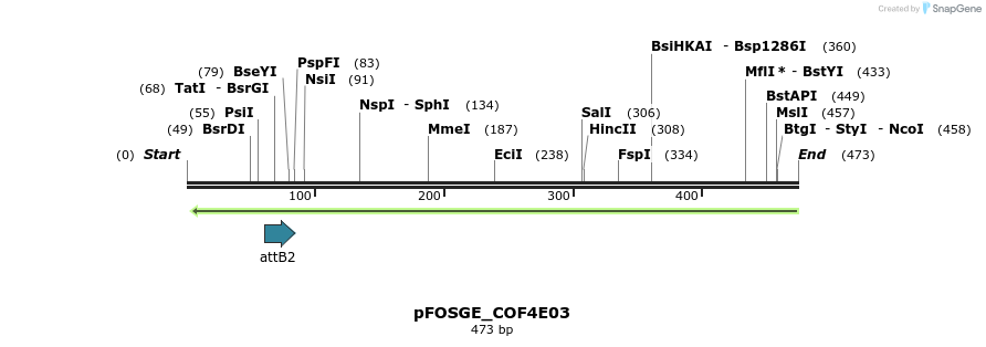 131530_map