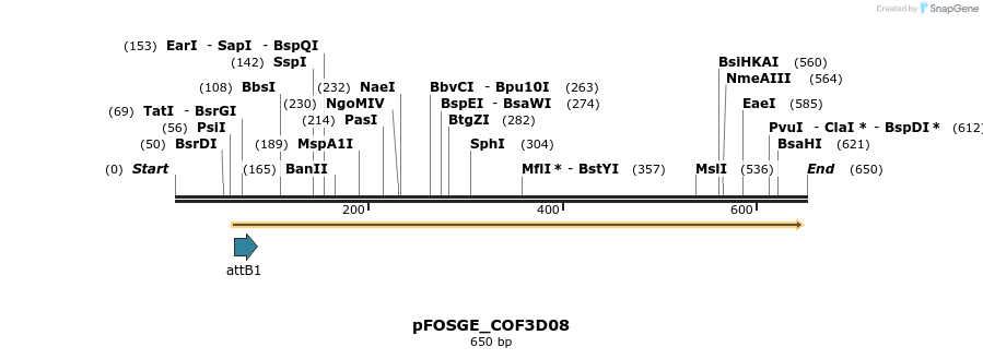 131534_map