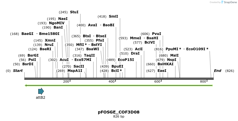 131535_map