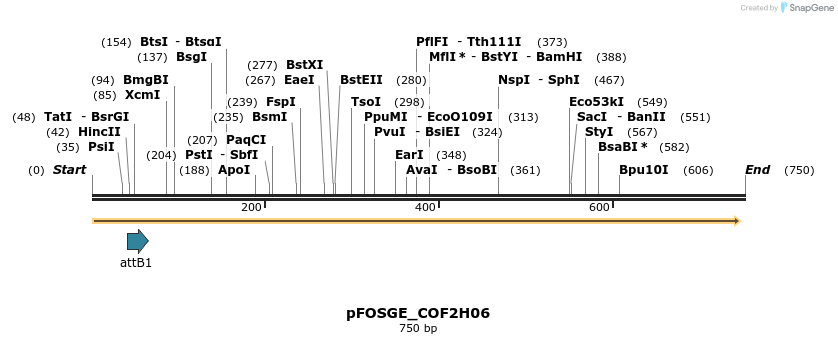 131540_map