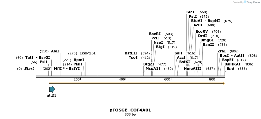 131541_map