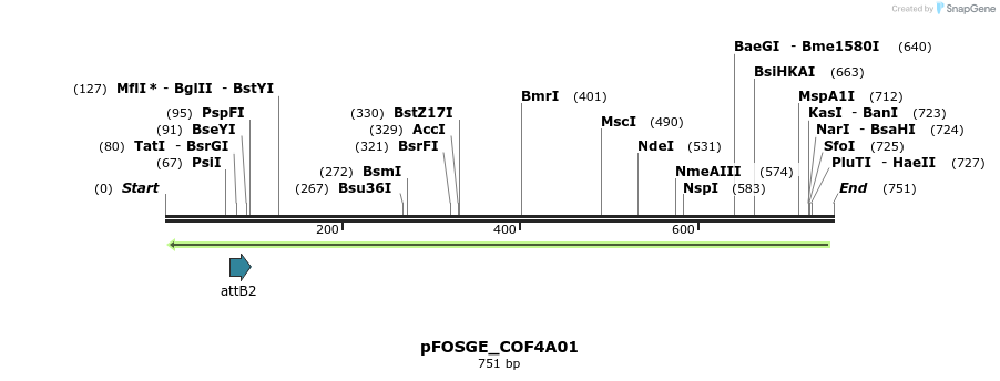 131542_map