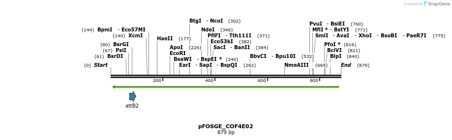 131545_map