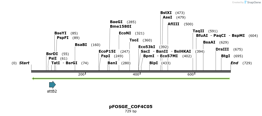 131547_map