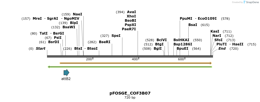 131549_map