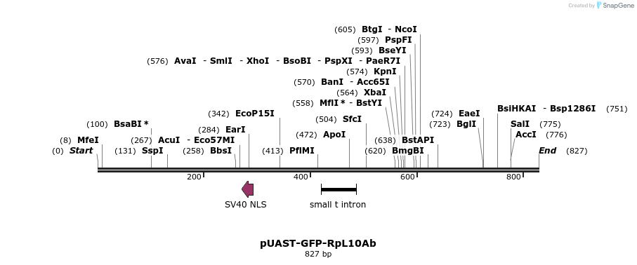 131550_map