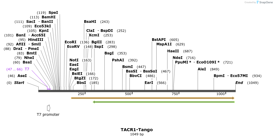 131551_map
