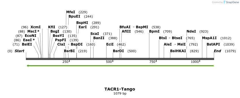 131552_map