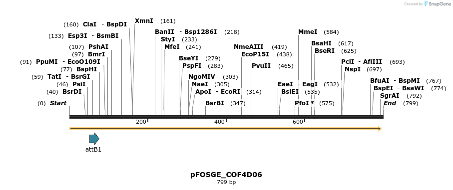 131553_map