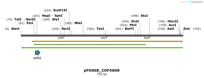 131555_map