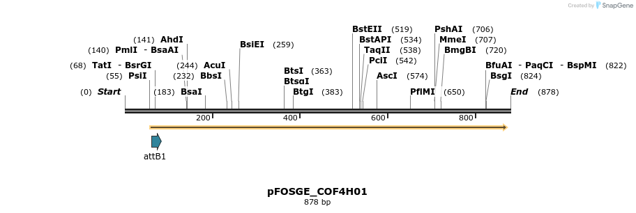 131559_map