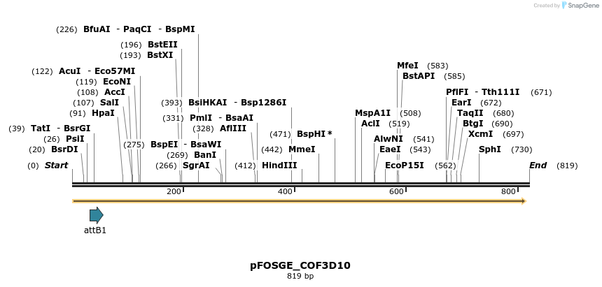 131561_map