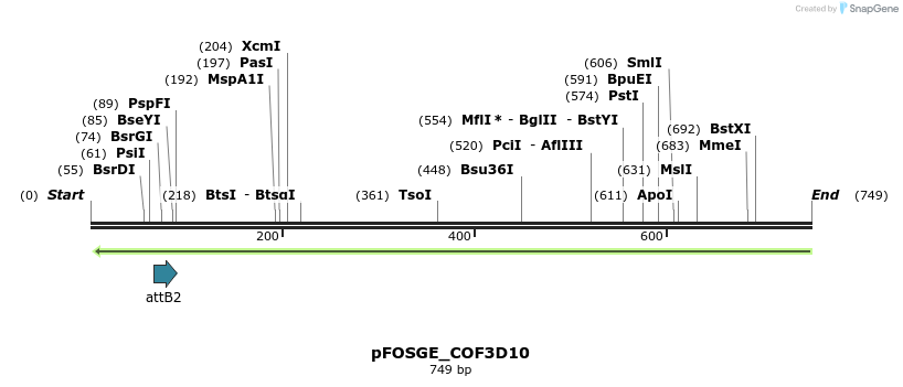 131562_map
