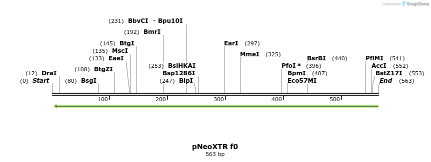 131563_map