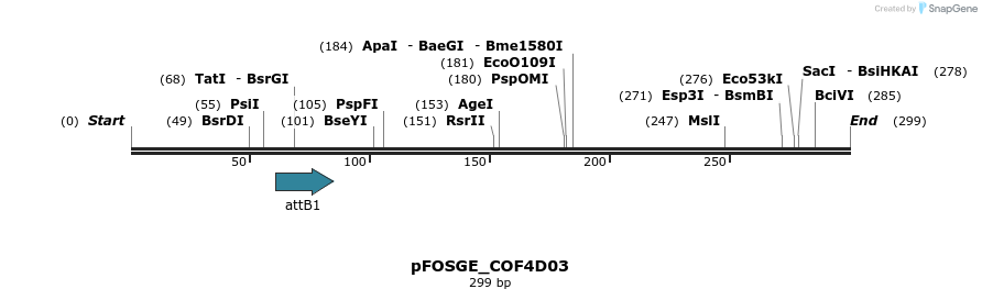 131566_map