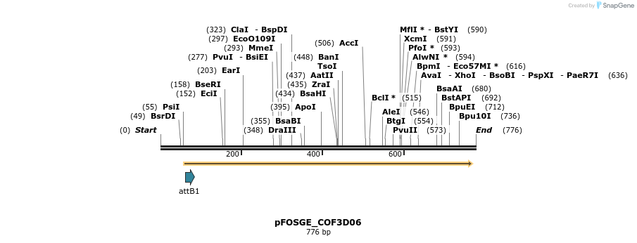 131569_map