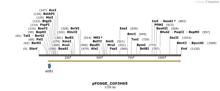 131571_map