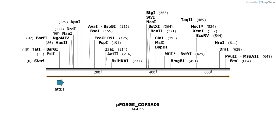 131573_map