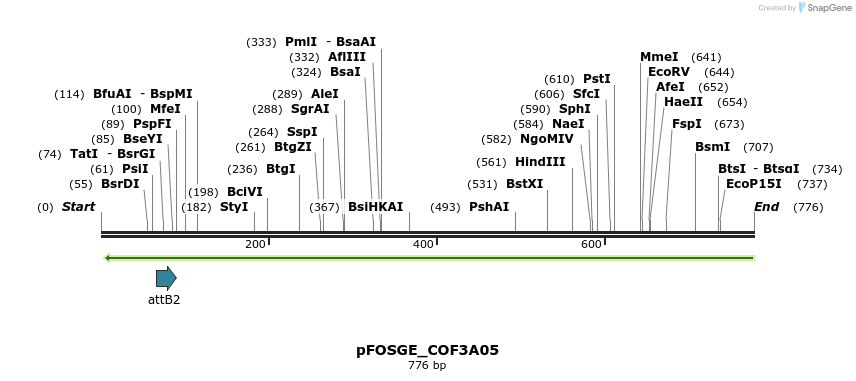 131574_map