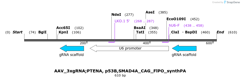 131575_map