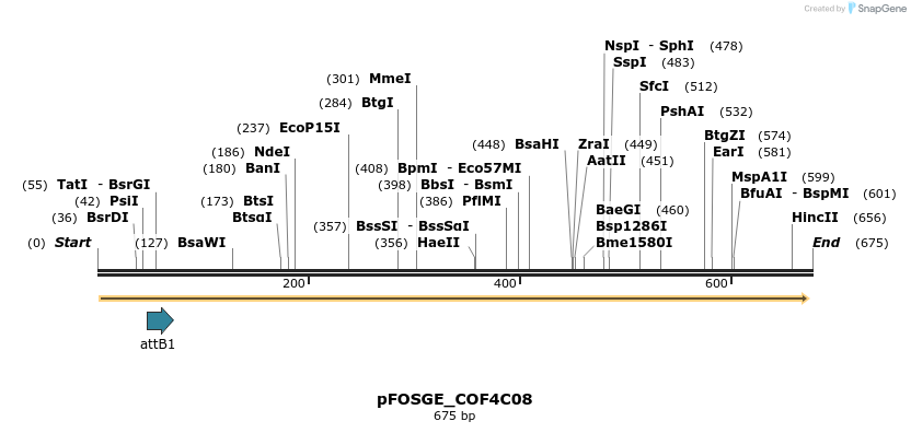 131577_map