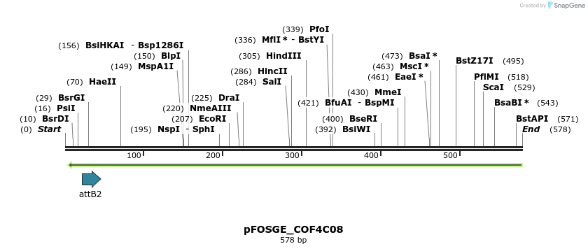 131578_map