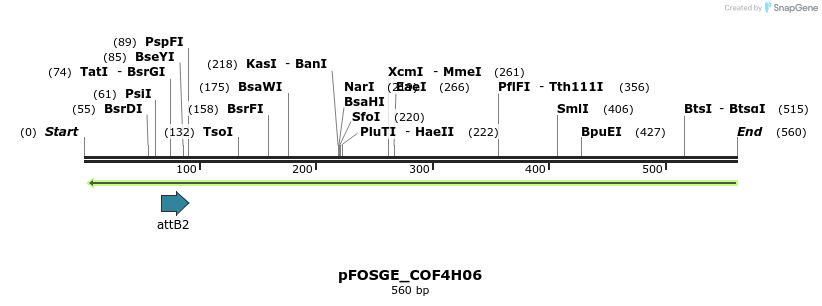 131581_map