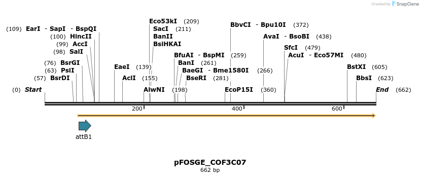 131583_map