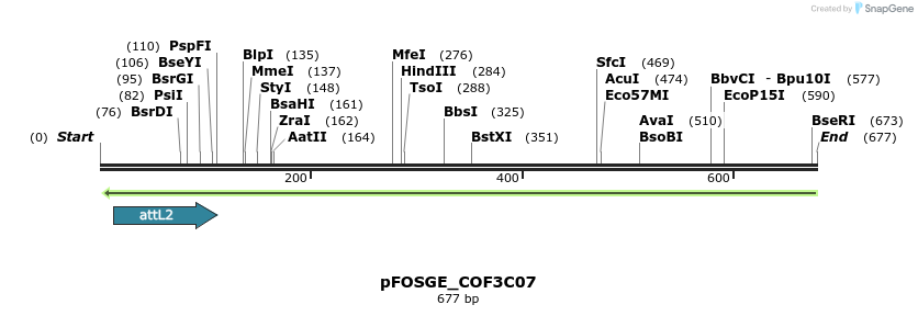 131584_map