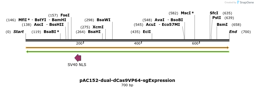 131585_map