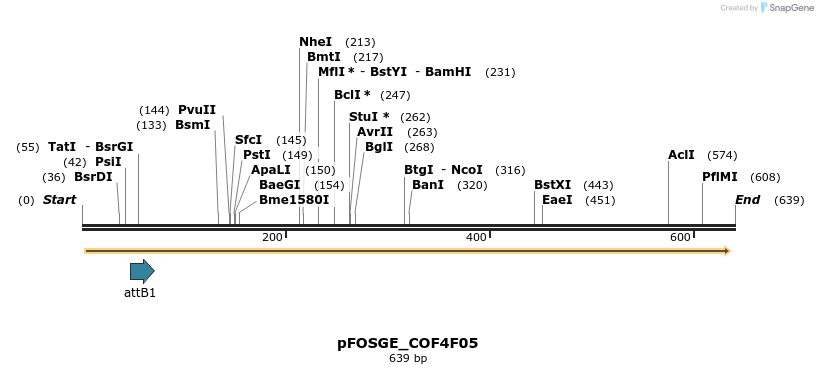 131586_map
