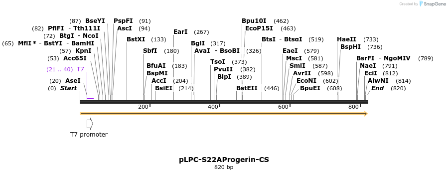 131587_map