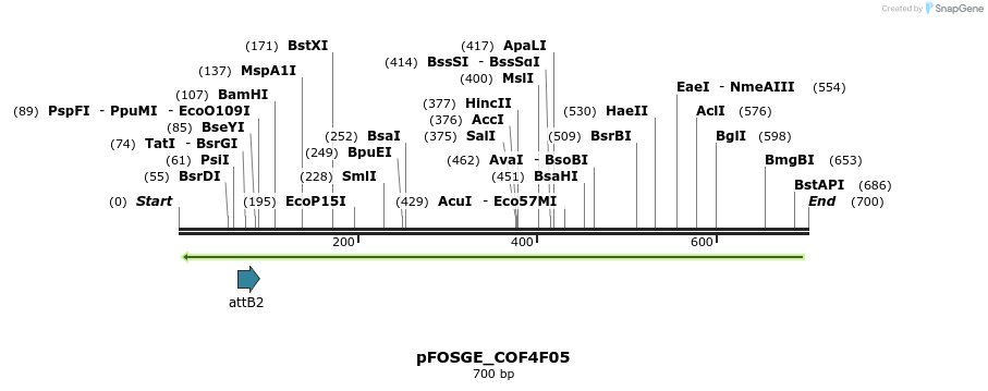 131588_map