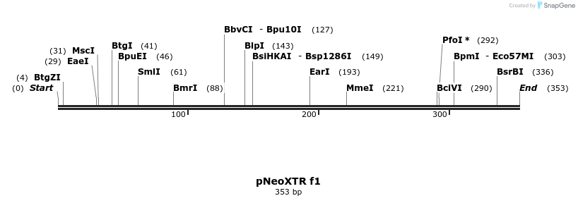 131589_map