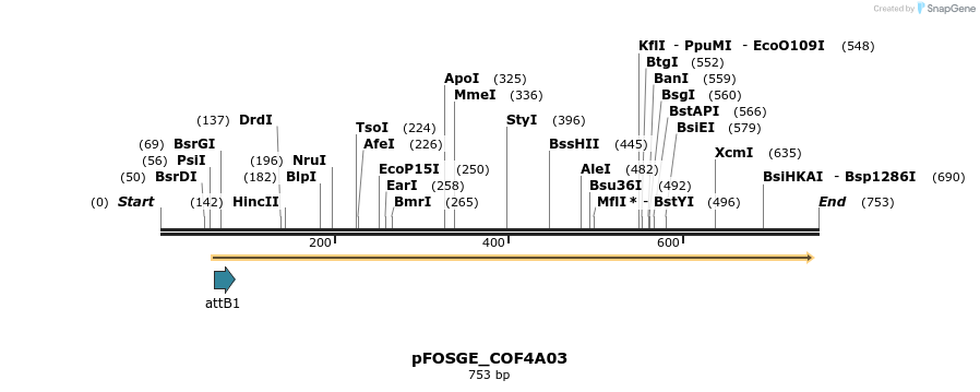 131590_map