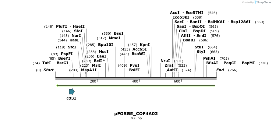 131591_map