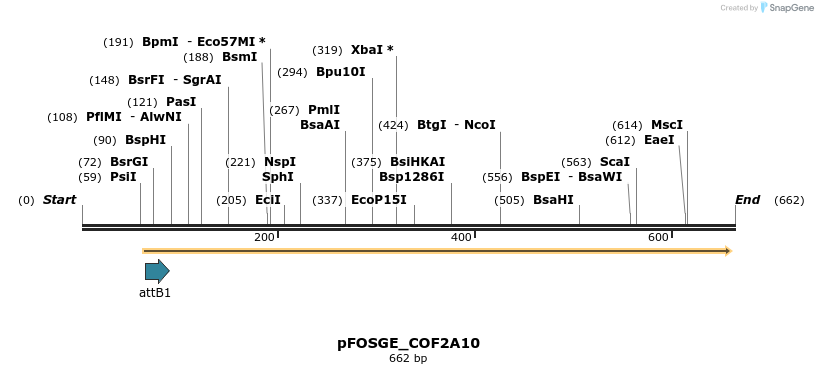 131592_map