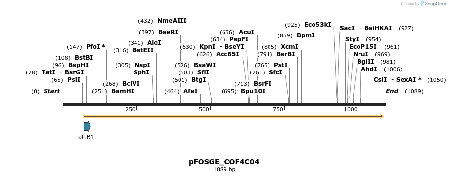 131601_map