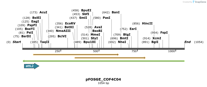 131602_map