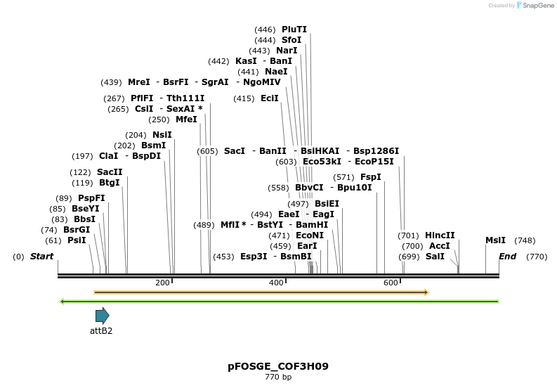 131603_map